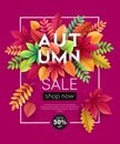 Autumn banner background with paper fall leaves. Vector illustration Royalty Free Stock Photo