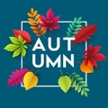 Autumn banner background with paper fall leaves. Vector illustration Royalty Free Stock Photo