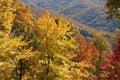 Autumn in Banner Elk, NC