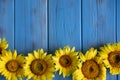 Autumn banner with flowers of sunflower on a blue wooden background. Frame for greeting card with flowers of sunflower. View from