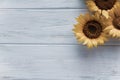 Autumn banner with flowers of sunflower on a light wooden background. Frame for greeting card with flowers of sunflower. View from