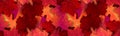 Autumn banner. Horizontal header with red and orange maple leaves and glowing sparkles.