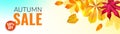 Autumn banner. Orange and yellow fall leaves. Season discount offer with red realistic foliage, horizontal sale poster Royalty Free Stock Photo