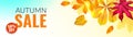 Autumn banner. Orange and yellow fall leaves. Season discount offer with red realistic foliage, horizontal sale poster,