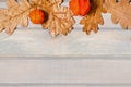 Autumn banner. Pumpkin, dried oak leaves and physalis.