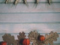Autumn banner. Pumpkin, dried oak leaves and physalis.