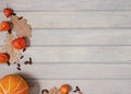 Autumn banner. Pumpkin, dried oak leaves and physalis on a light