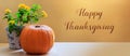 Autumn banner for Thanksgiving with pumpkin