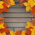 Autumn banner, tree paper leaves, wooden background, design for fall season sale banner, poster or thanksgiving day greeting card Royalty Free Stock Photo