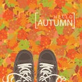 Autumn banner with the words and brown shoes