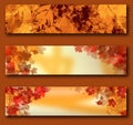 Autumn banners Royalty Free Stock Photo