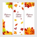 Autumn banners. Gold red leaves vector background. Fall flyers template