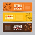 Autumn banners set with stems of cotton plants.