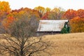 Autumn Barn and Tree in Cornfield Royalty Free Stock Photo