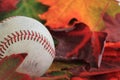 Autumn Baseball