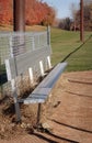 Autumn Baseball field Bench