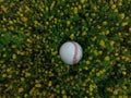 Autumn Baseball on the Green Lawn