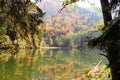 Autumn in the Bateti lake Royalty Free Stock Photo