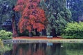 Autumn beacon hill park Royalty Free Stock Photo
