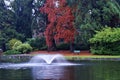 Autumn beacon hill park