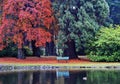 Autumn beacon hill park Royalty Free Stock Photo