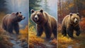 Autumn Bears in a Dense Woodland Seamless Poster.