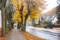 Autumn beatiful path with colorful leaves and trees.