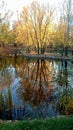 Autumn is beautiful in all its manifestations! In yellow falling leaves