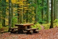 Autumn colorful forest and table with benches in front