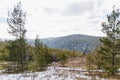 Autumn landscape in the mountains with the first snow Royalty Free Stock Photo