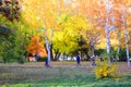 Autumn beautiful quiet park in bright autumn colors with colorful trees