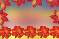 Autumn beautiful red yellow grape leaves with  cosmos flowers on abstract colorful background Royalty Free Stock Photo