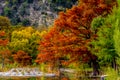 Autumn Beauty at Garner State Park, Texas Royalty Free Stock Photo