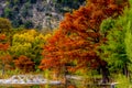 Autumn Beauty at Garner State Park, Texas