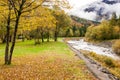 Autumn on a bed of dry leaves looking mountain landscape