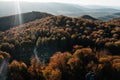 Autumn beech forests from a height, autumn in the mountains, autumn landscape in the mountains of Ukraine, Royalty Free Stock Photo