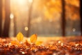 Autumn beech leaves decorate a beautiful nature bokeh background with forest ground Generative AI