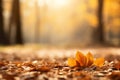 Autumn beech leaves decorate a beautiful nature bokeh background with forest ground Generative AI