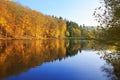 Reflection autumn colorful trees in the forest lake. Royalty Free Stock Photo