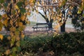Autumn bench Royalty Free Stock Photo
