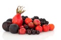 Autumn Berry Fruit Selection Royalty Free Stock Photo