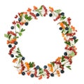 Autumn Berry Wreath Royalty Free Stock Photo