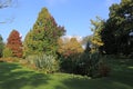 Autumn at Beth Chatto`s Gardens