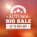 Autumn BIG sale blurred sunset background Royalty Free Stock Photo