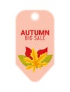 autumn big sale tag
