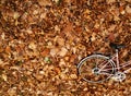 Autumn bike romance