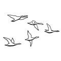 Autumn bird flock. Monochrome sketch, hand drawing. Black outline on white background. Vector illustration Royalty Free Stock Photo