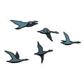 Autumn bird flock. Outline with different colors on white background. Vector illustration Royalty Free Stock Photo