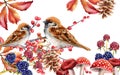 Autumn birds sitting on red berries branch