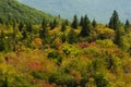 Autumn at Black Balsam, Pisgah National Forest